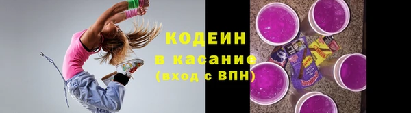 спиды Каменка