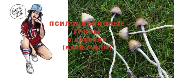спиды Каменка
