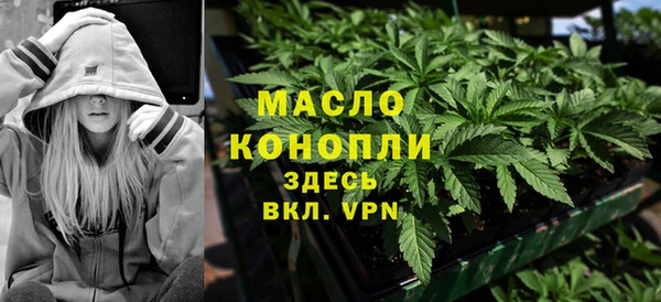спиды Каменка