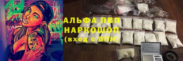спиды Каменка