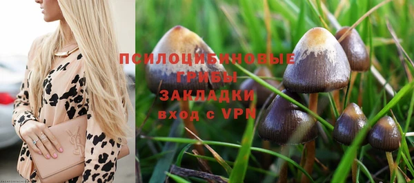 герыч Каменногорск
