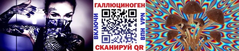 Купить  Лениногорск  Галлюциногенные грибы мухоморы 